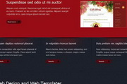 红色设计类div css网站模板模板