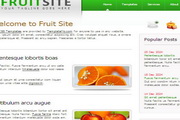绿色幻彩水果企业网站DIV+CSS网页模板
