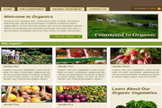 蔬菜网站界面设计div+css模板