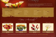 鲜花购物网站界面设计DIV+CSS模板