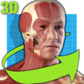 轻松人体解剖:Easy Anatomy 3D