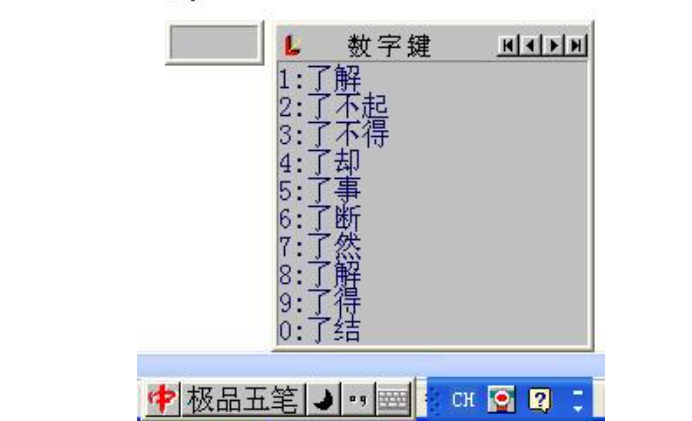 极品五笔输入法
