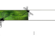 白色绿蜻蜓ppt模板